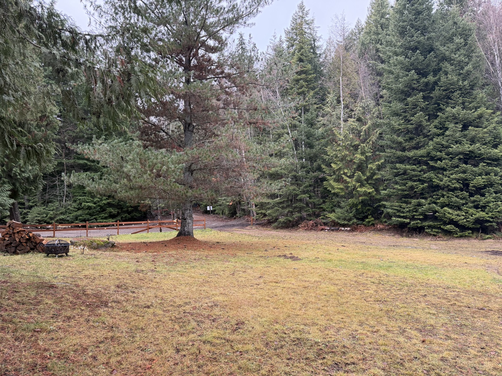 Main meadow gathering area