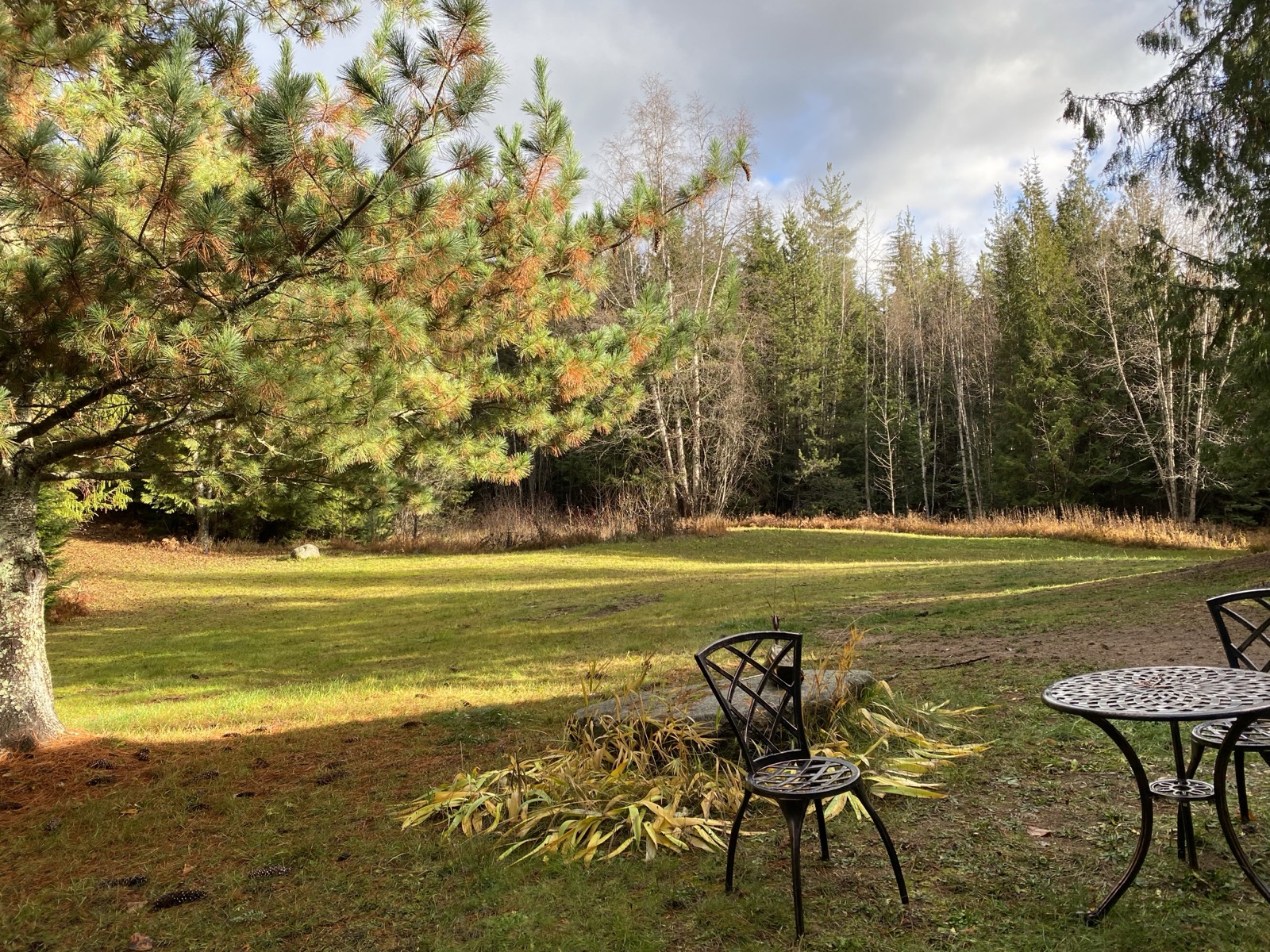 Autumn meadow with seating under colorful trees