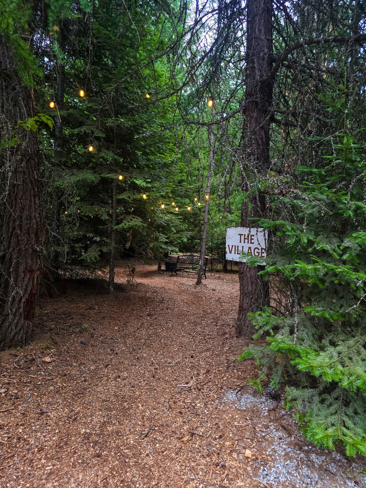 Forest path to The Village with string lights