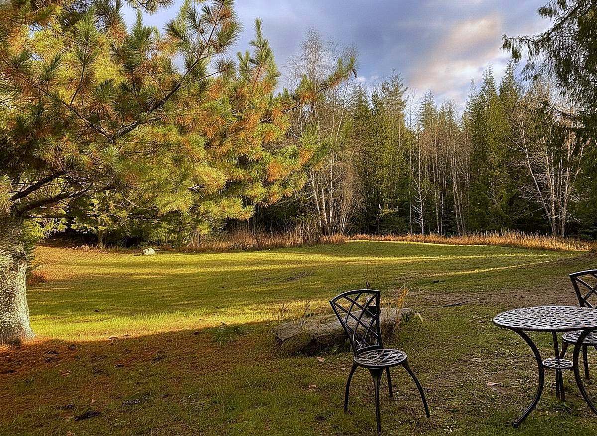 The meadow at Round Mountain Retreat in autumn golden hour, low sun raking across the grass with café seating under a big pine.