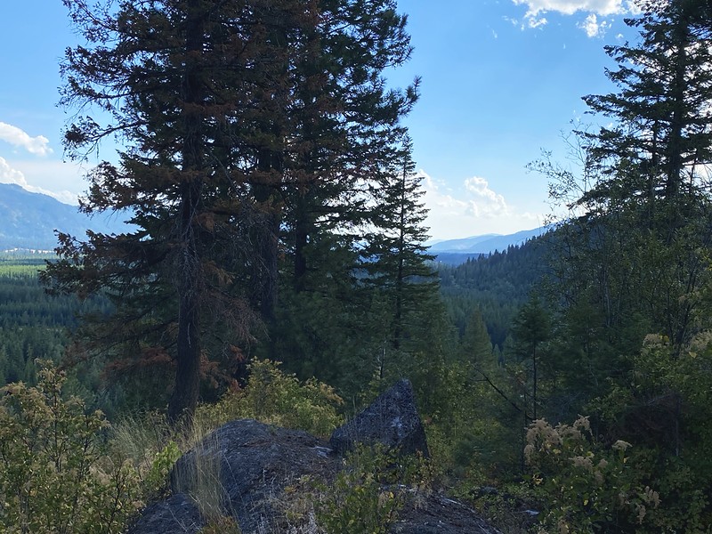 The rock outcrop on the Ridge Overlook trail above Round Mountain Retreat, tall pines framing the forested valley below.