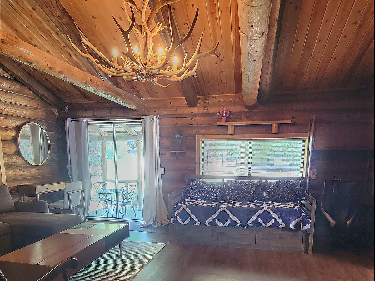 The living room inside The Elk — an antler chandelier under the tongue-and-groove ceiling, a daybed beneath the window and a slider out to the deck